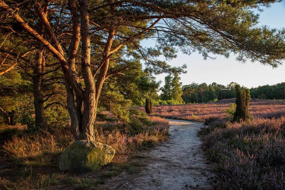 Duemmerliebe Mit Garten, 10 Min. Fusslaeufig Zum See Hüde 외부 사진